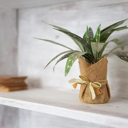 El Mar Sea View * El Cotillo (Fuerteventura)