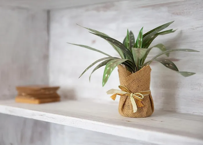 El Mar Sea View * El Cotillo (Fuerteventura)